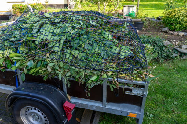 Best Residential Junk Removal  in Pierce, CO